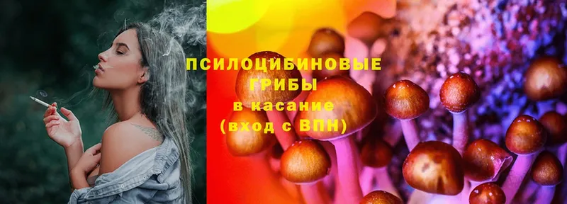 купить закладку  Гдов  KRAKEN ТОР  Псилоцибиновые грибы Magic Shrooms 